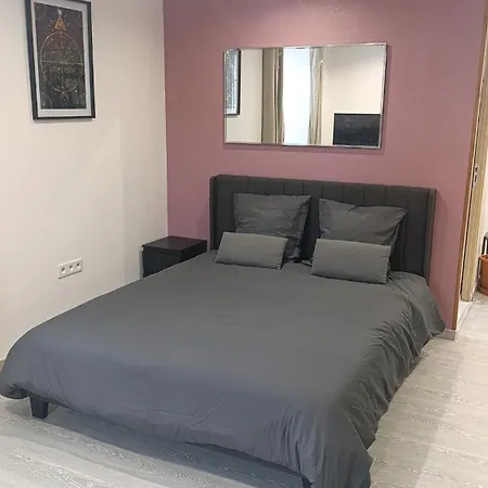 Grand Dans Maison Parking Prive Gratuit Apartment