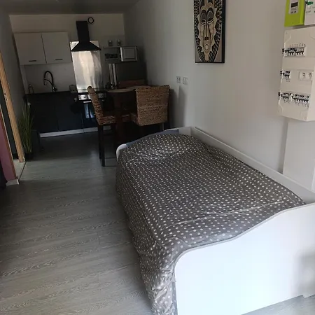 Appartamento Grand Dans Maison Parking Privé Gratuit *