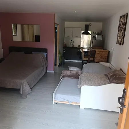 Apartment Grand Dans Maison Parking Prive Gratuit Eschentzwiller