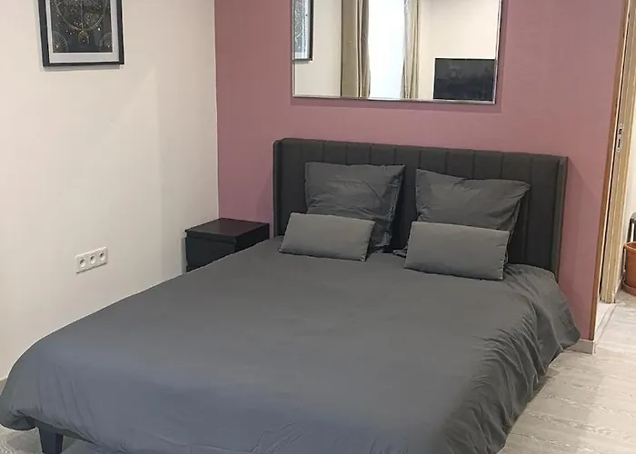Grand Dans Maison Parking Privé Gratuit Appartamento