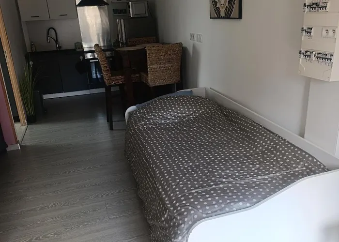 Appartamento Grand Dans Maison Parking Privé Gratuit *